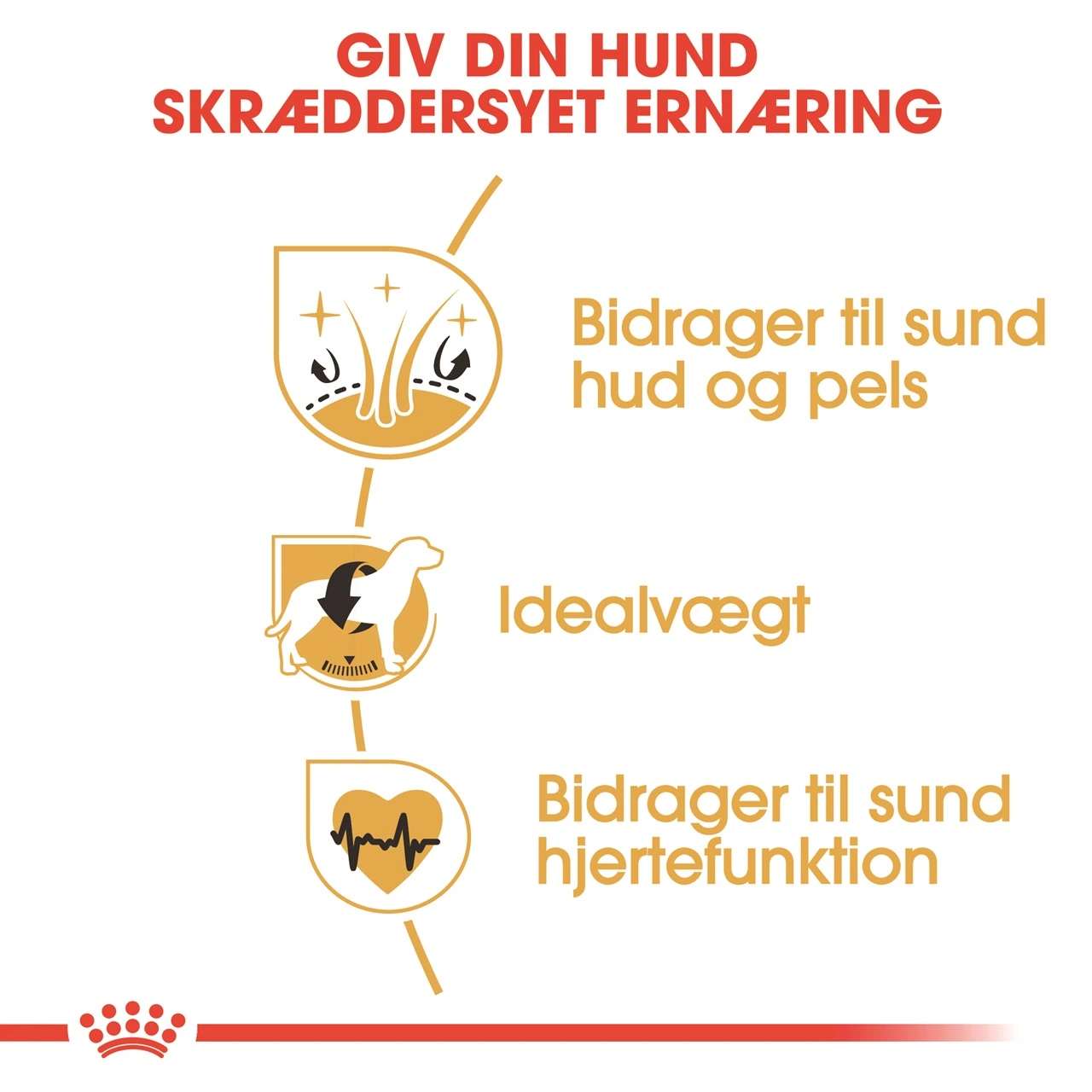 Royal Canin Cocker Spaniel Adult 3 kg - tørfoder til voksne hunde